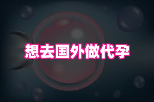 南京助孕网 1