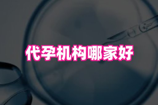 南京助孕网 4